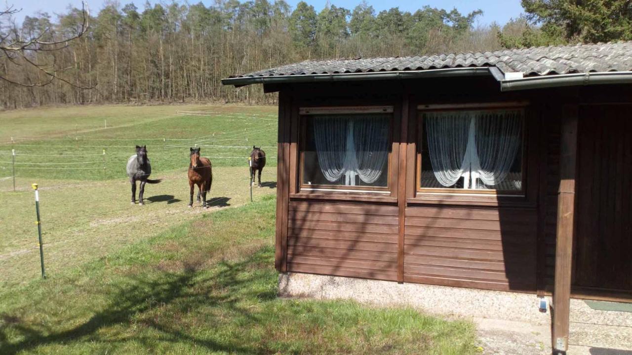 Reitstation Rossmuehle Gräfendorf Exterior foto